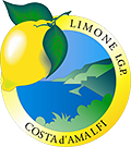 Limone Costa d'Amalfi I.G.P.