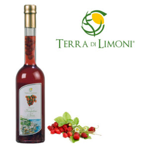 Liquore di Fragoline di Bosco