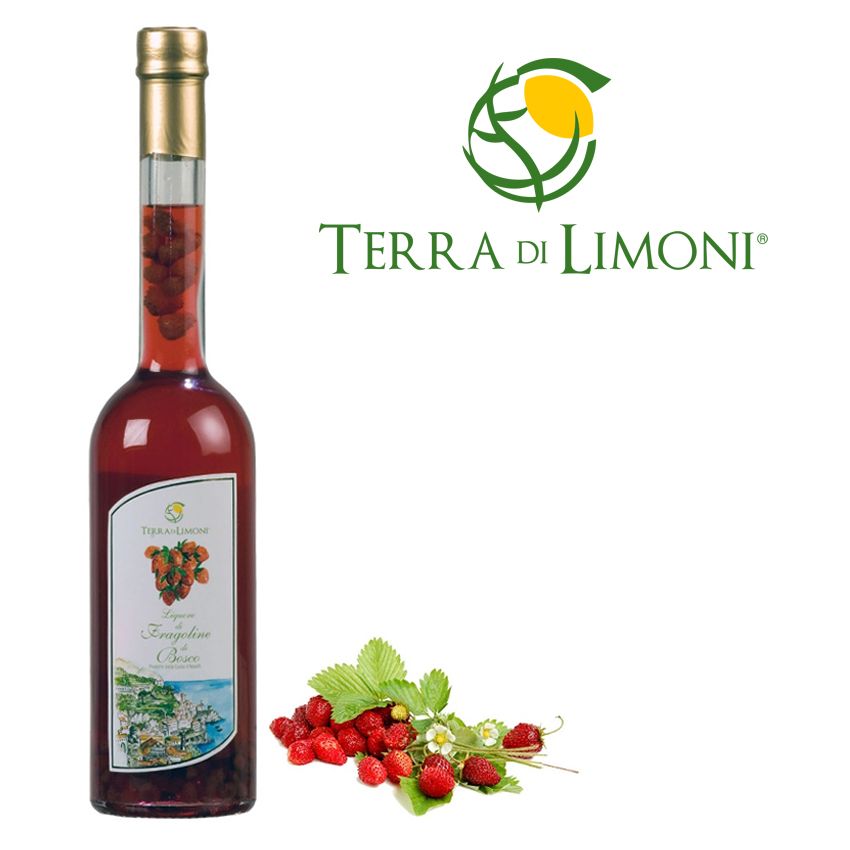 Liquore di Fragoline di Bosco